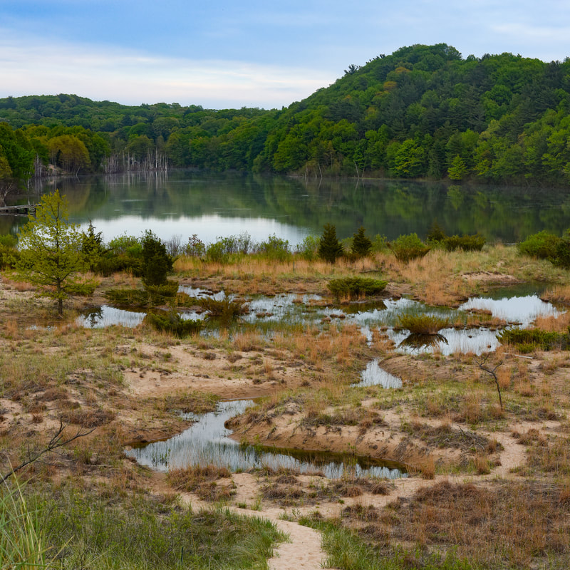 Interdunal wetland at the Saugatuck Harbor Natural Area