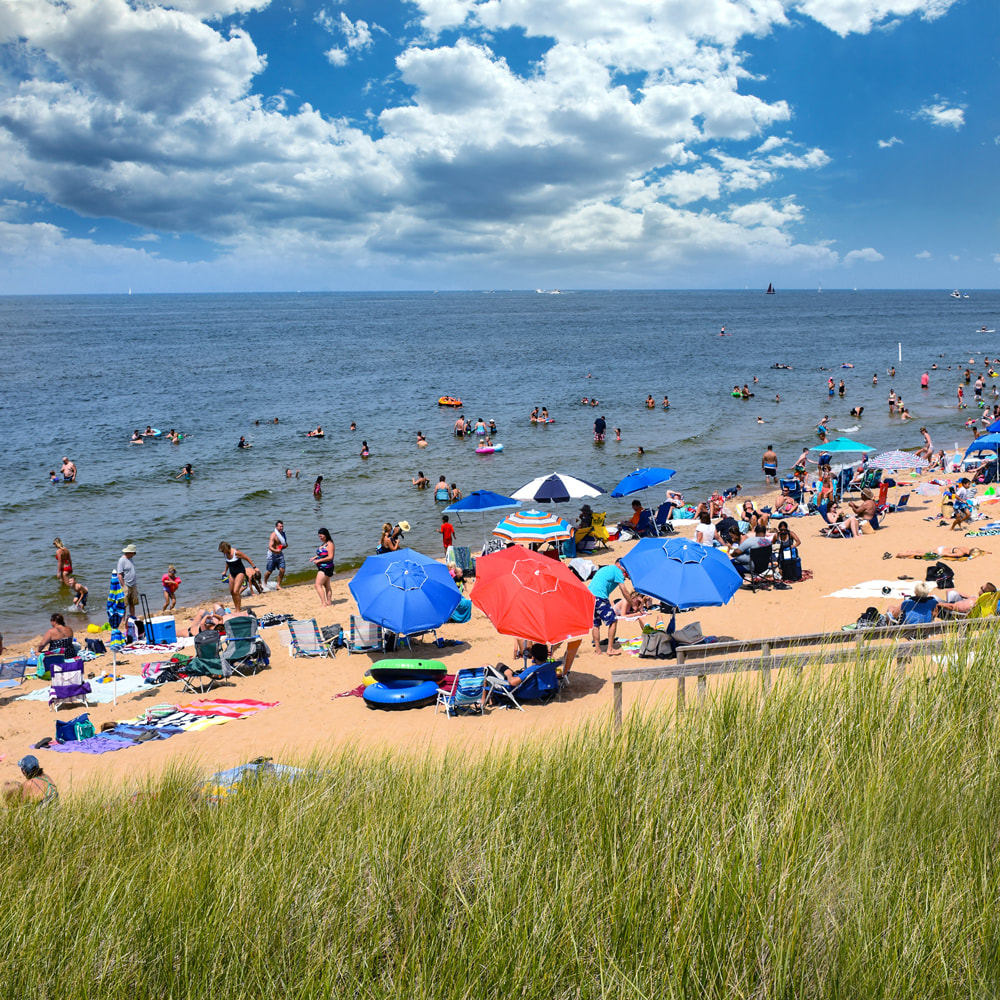 Umbrellas and swimmers at Oval Beach on Lake Michigan