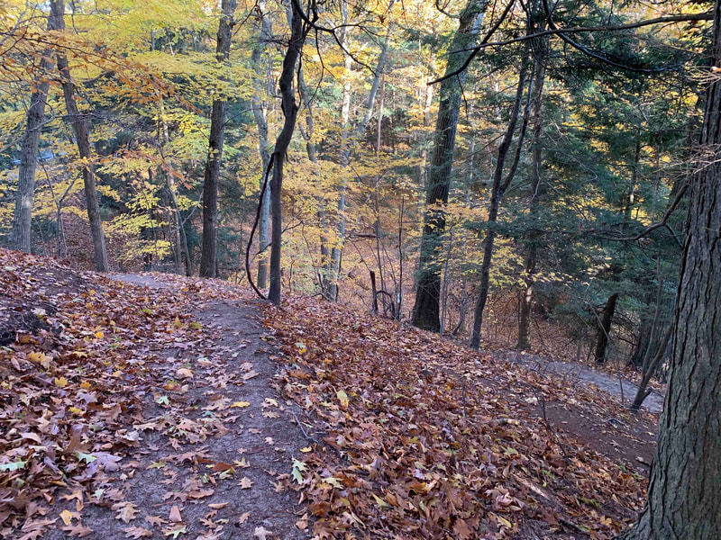 The John A. Woollam Trail through autumn woods. Photo by Chris Clark