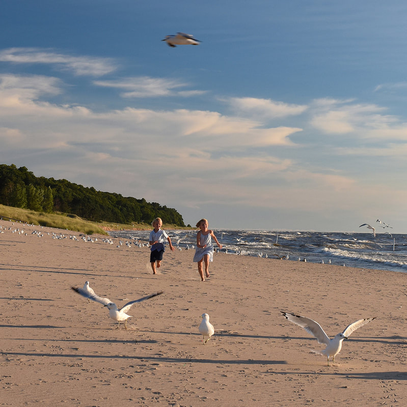 A family walking at Oval Beach with gulls overhead
